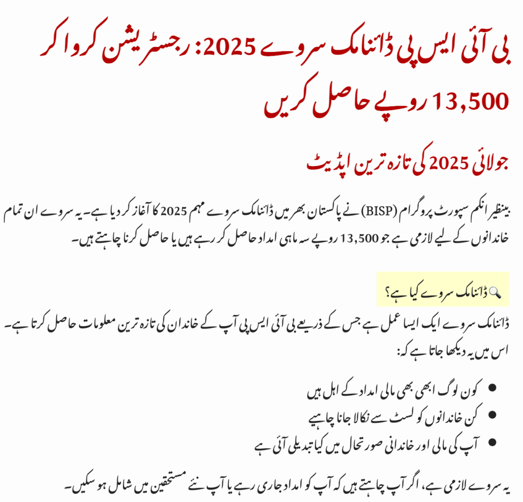 BISP Dynamic Survey 2025