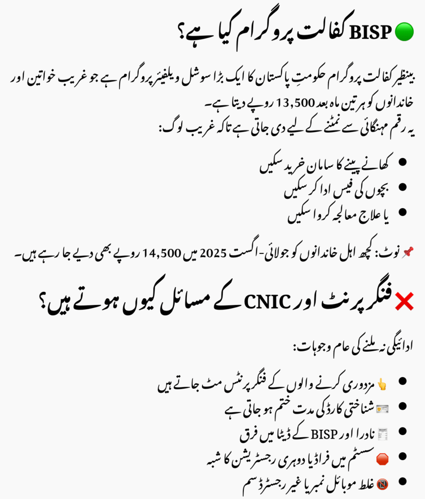 How to Fix BISP Fingerprint & CNIC Problems in 2025