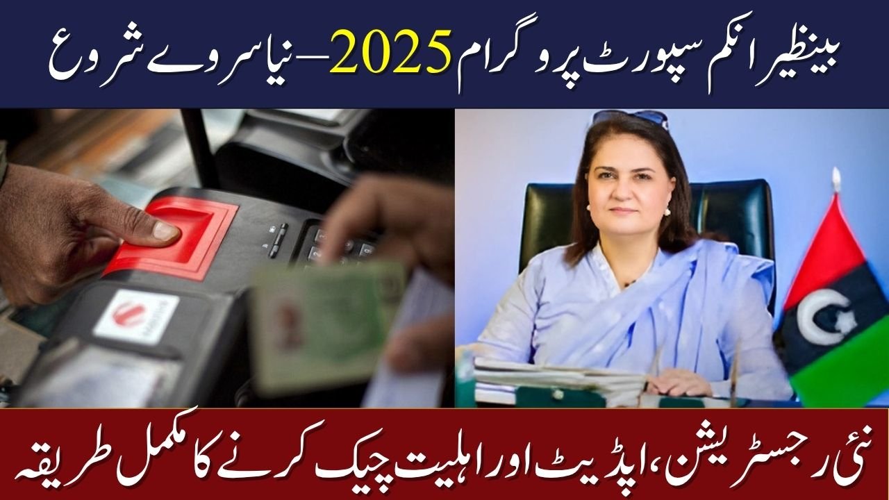 BISP 8171 Dynamic Survey 2025