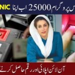 8171 Ehsaas Program 25000 CNIC Check Online