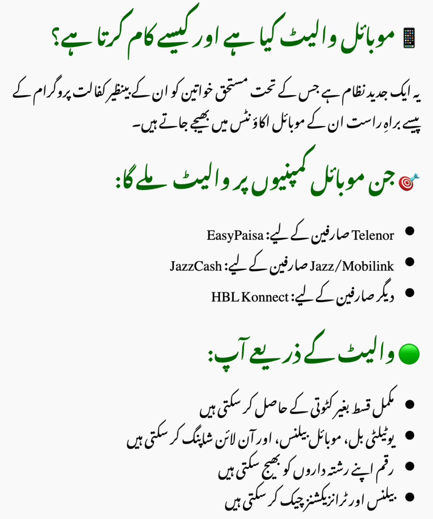 What Is the BISP Mobile Wallet System?