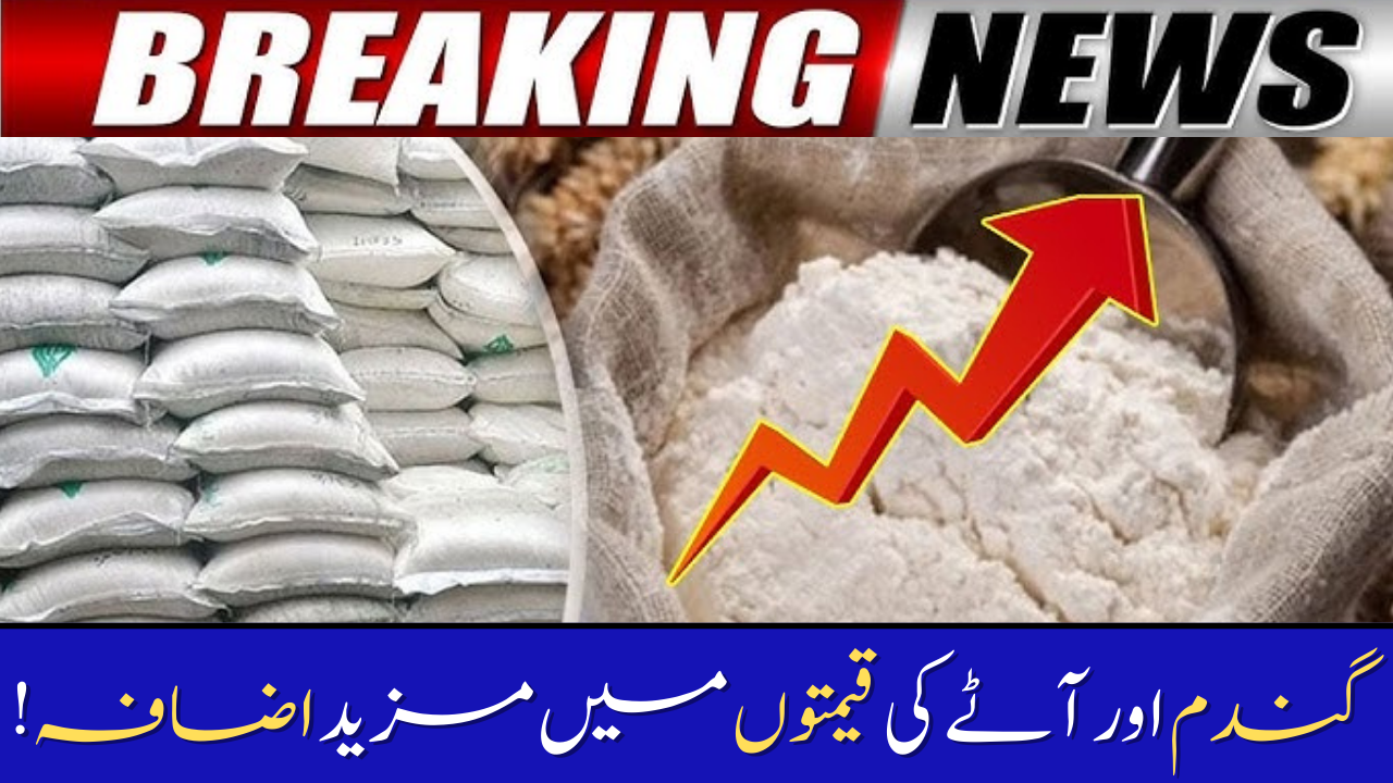Flour Prices Hit Record