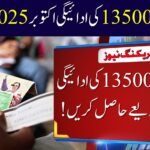 8171 BISP Payment Through Punjab Bank