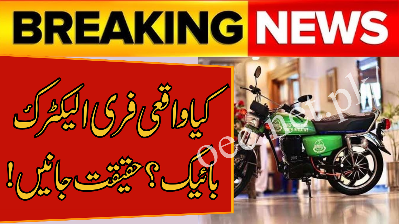 PM Electric Bike and Rickshaw Scheme