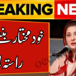 CM Punjab Self-Empowered Program