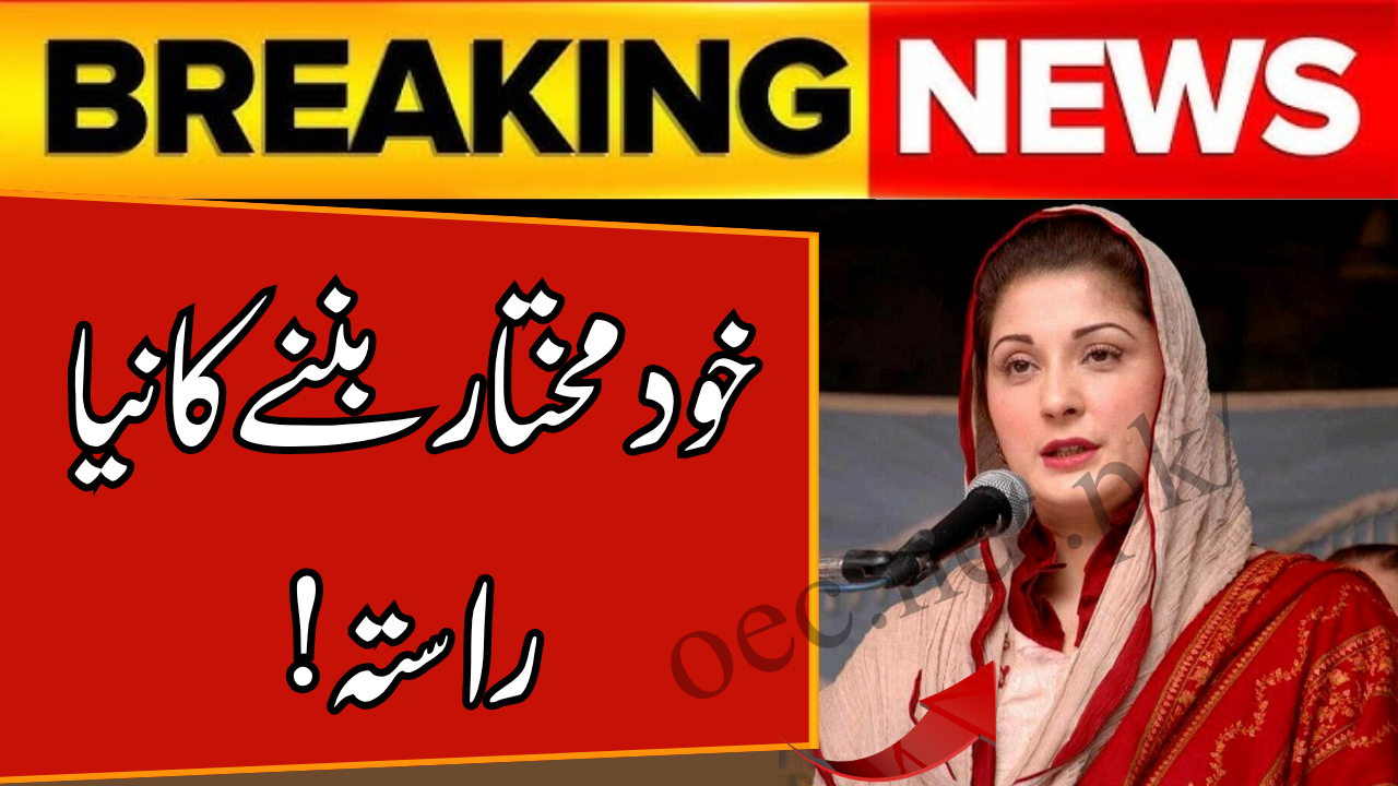 CM Punjab Self-Empowered Program